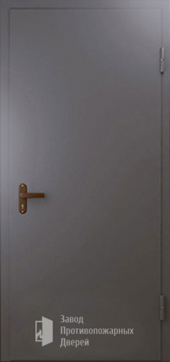 Фото двери «Техническая дверь №1 однопольная» в Куровскому