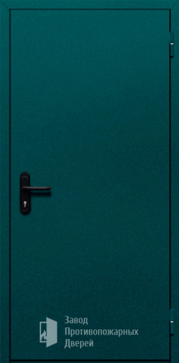 Фото двери «Однопольная глухая №16» в Куровскому